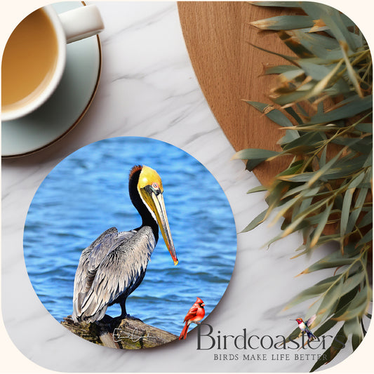 Pelican - Coastal Calm