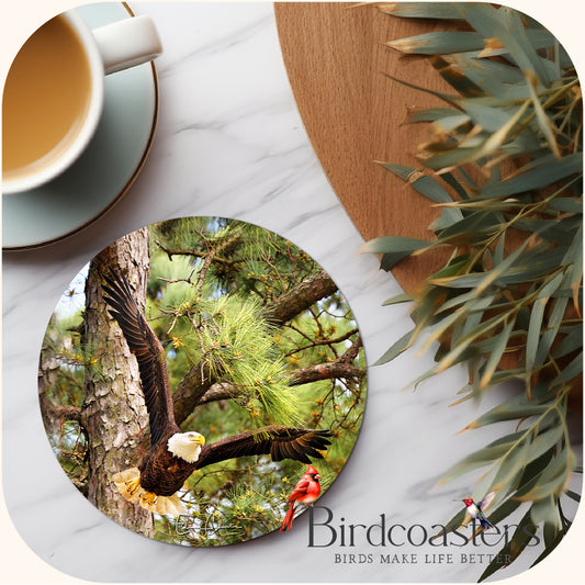 American Eagle -Forest Flight