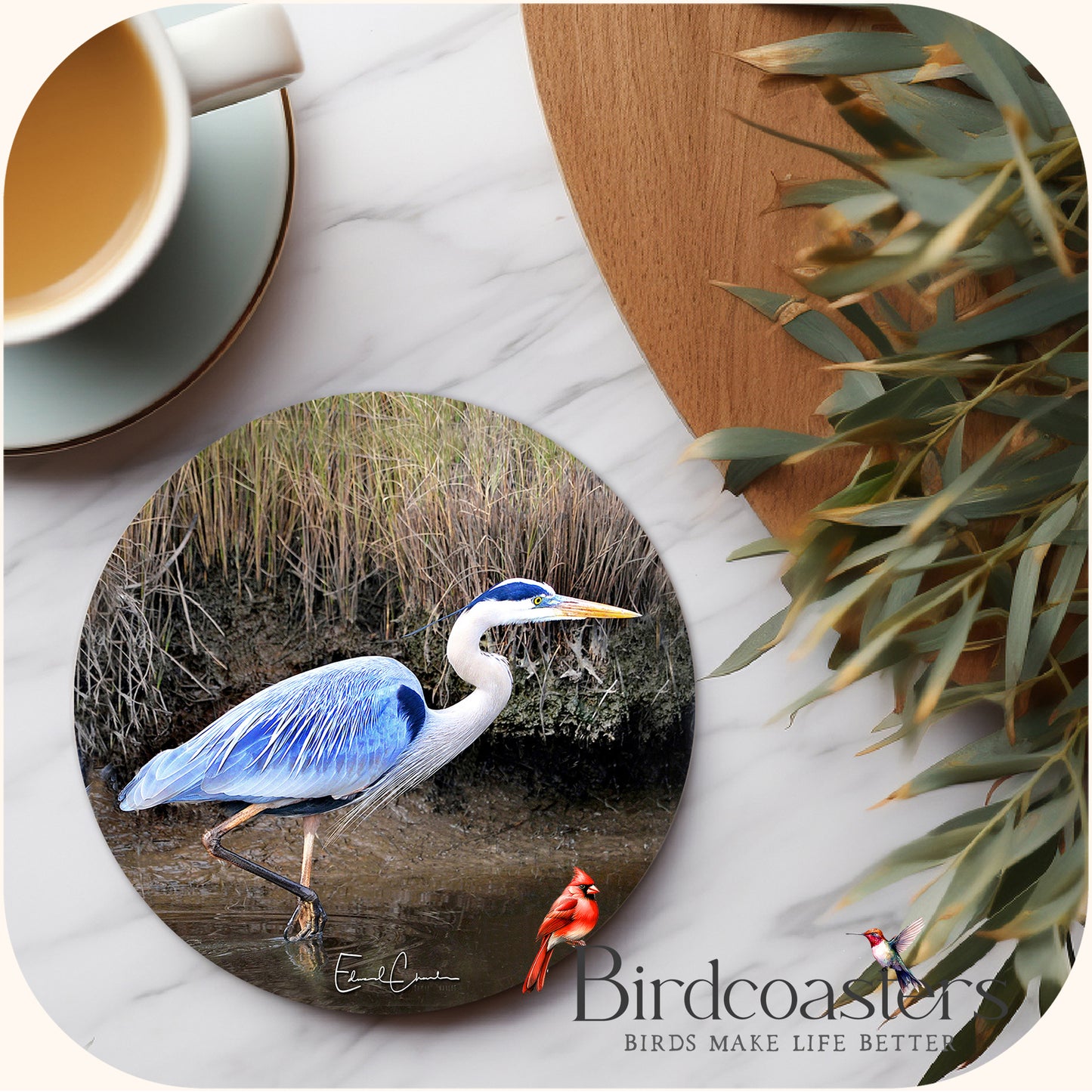 Blue Heron - Marshland Stillness