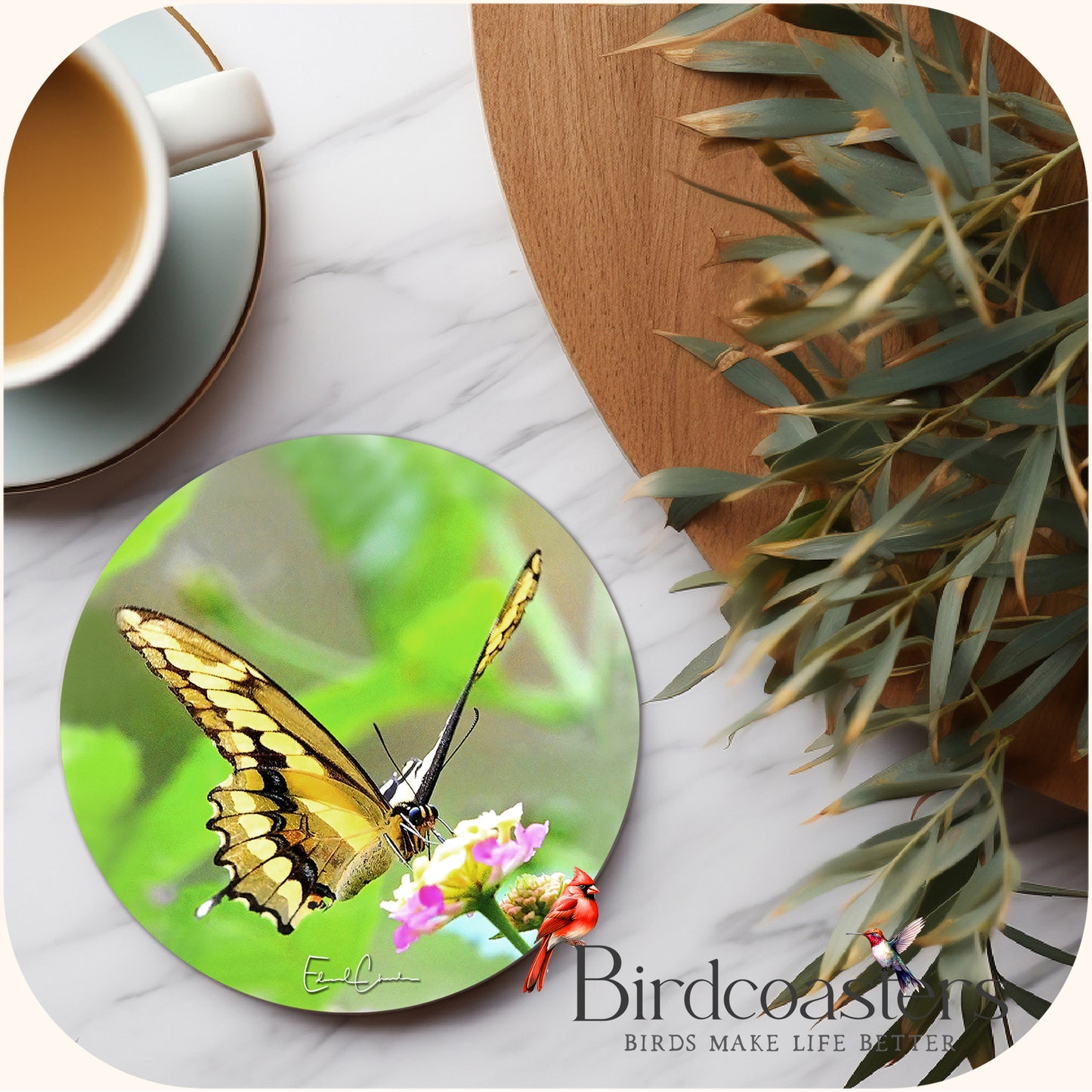 Giant Swallowtail - Lantana Light