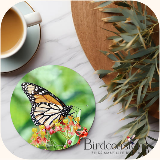 Monarch Butterfly - Garden Grace