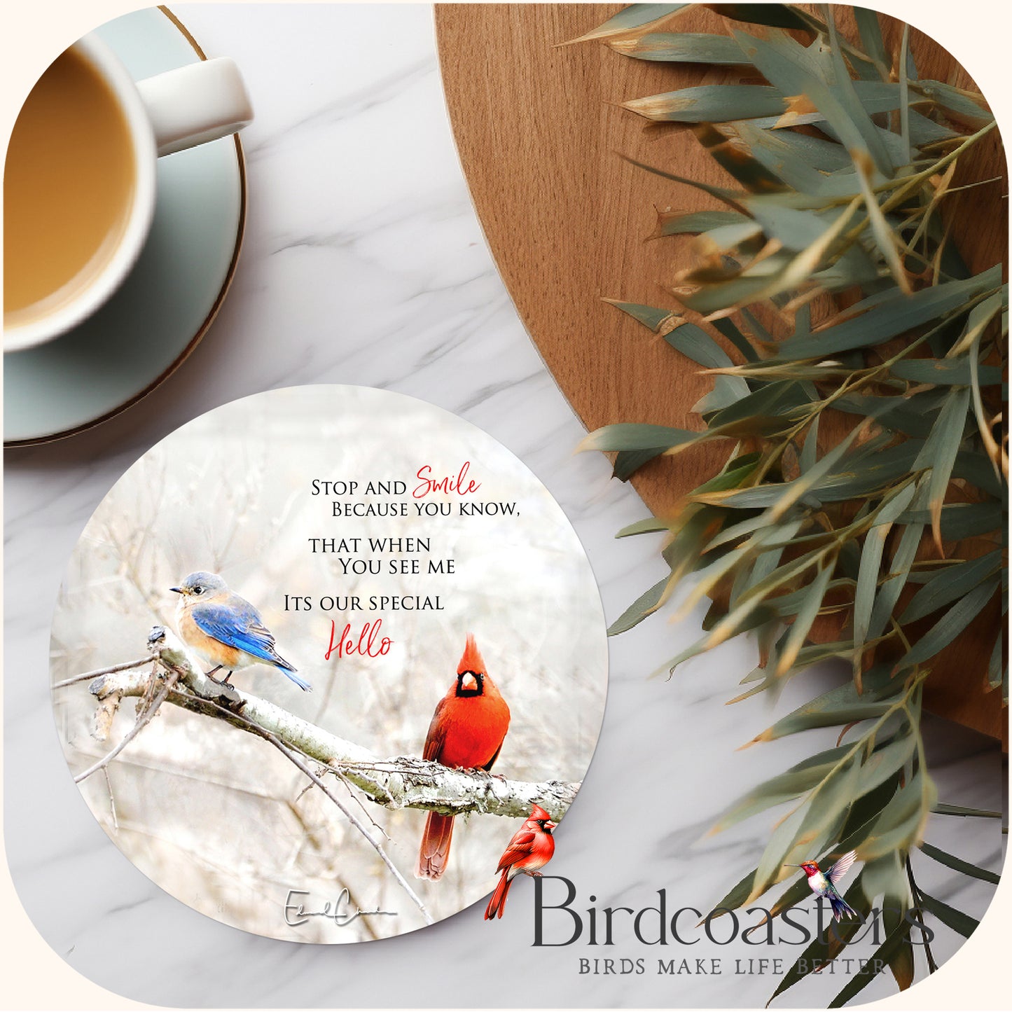 Bluebird and Cardinal - Stop and Smile