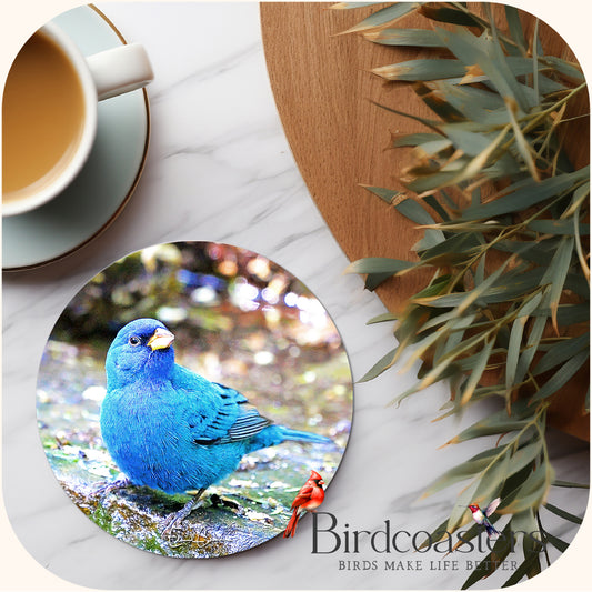 Indigo Bunting - Streamside Serenity