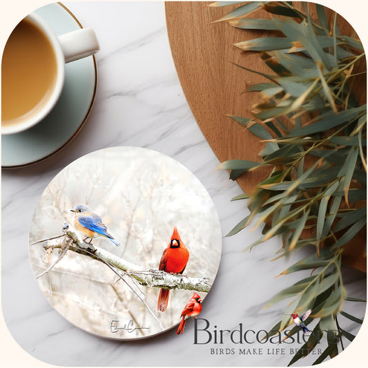 Bluebird and Cardinal - Winter Friends