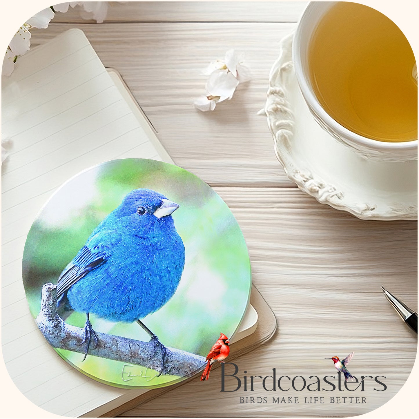 Indigo Bunting - Forest Glow