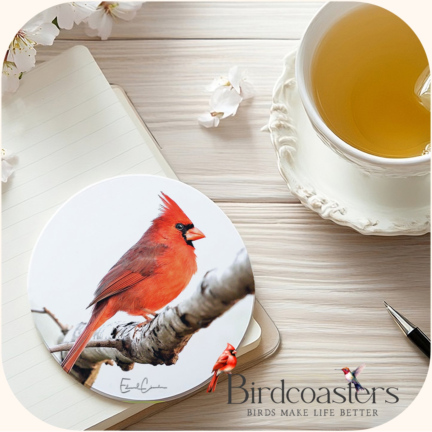 Cardinal - Winter Light