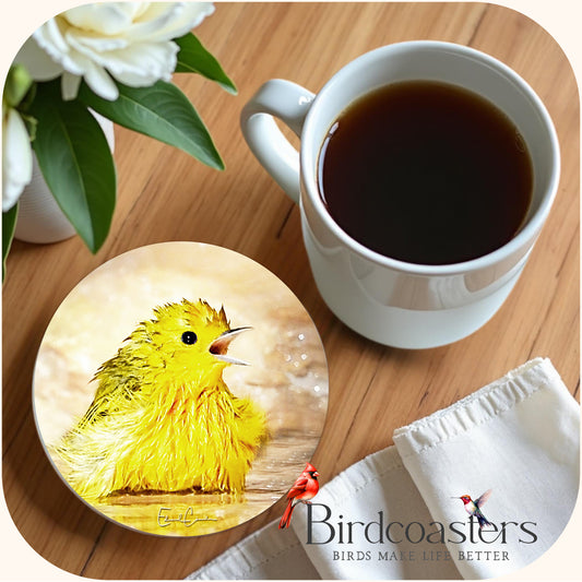 Yellow Warbler - Yellow Sunshine