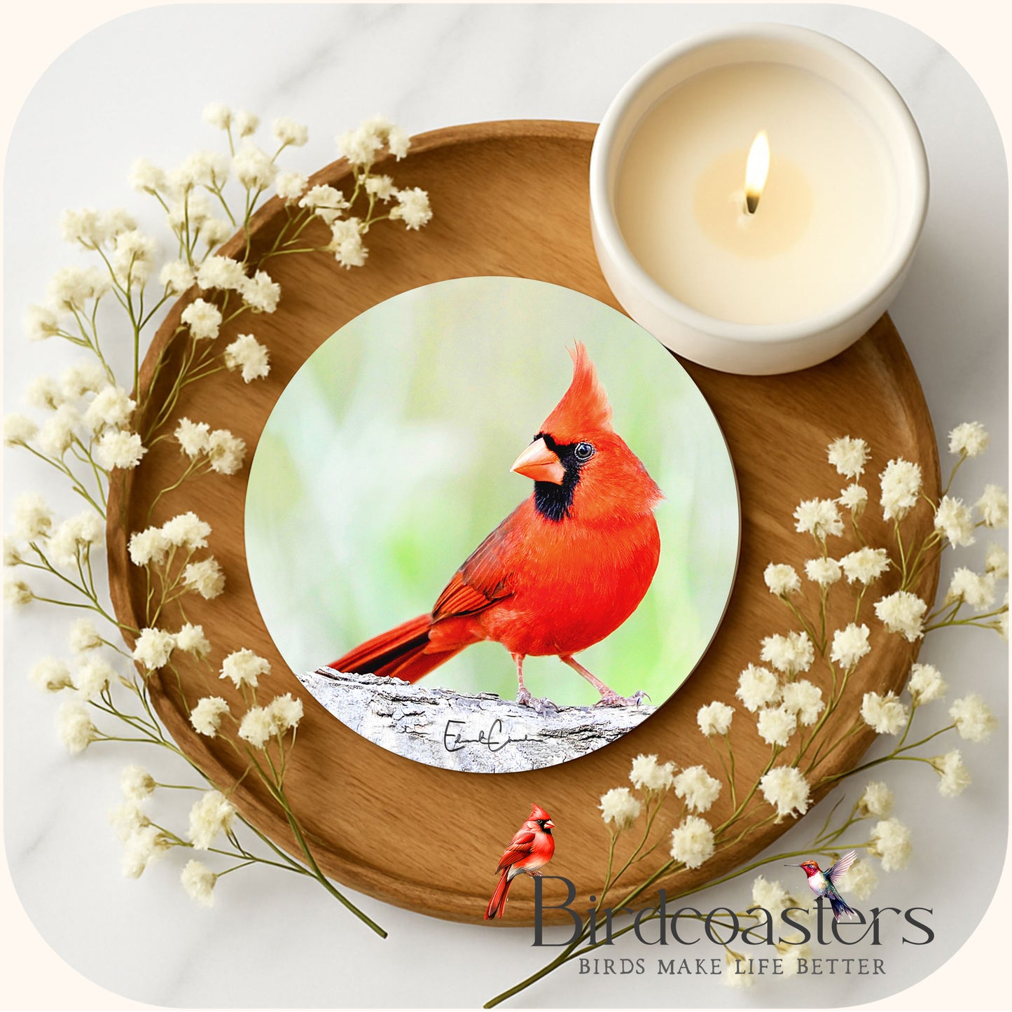 Cardinal - Forest Quiet