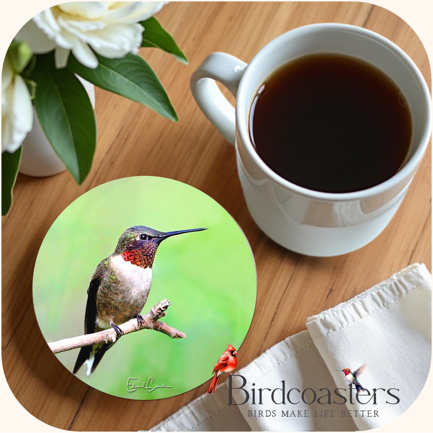 Ruby-Throated Hummingbird - Quiet Perch