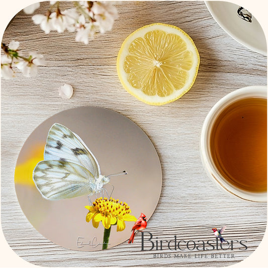 Checkered White - Morning Glow