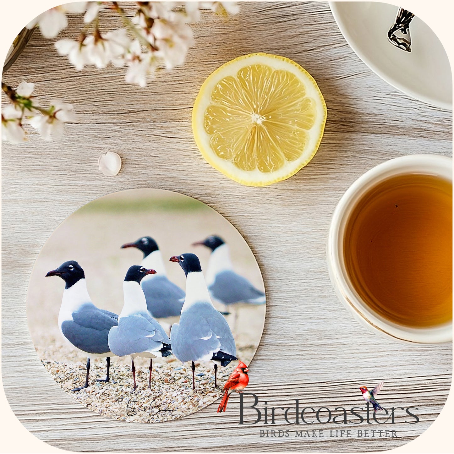 Seagulls Gathering - Coastal Charm