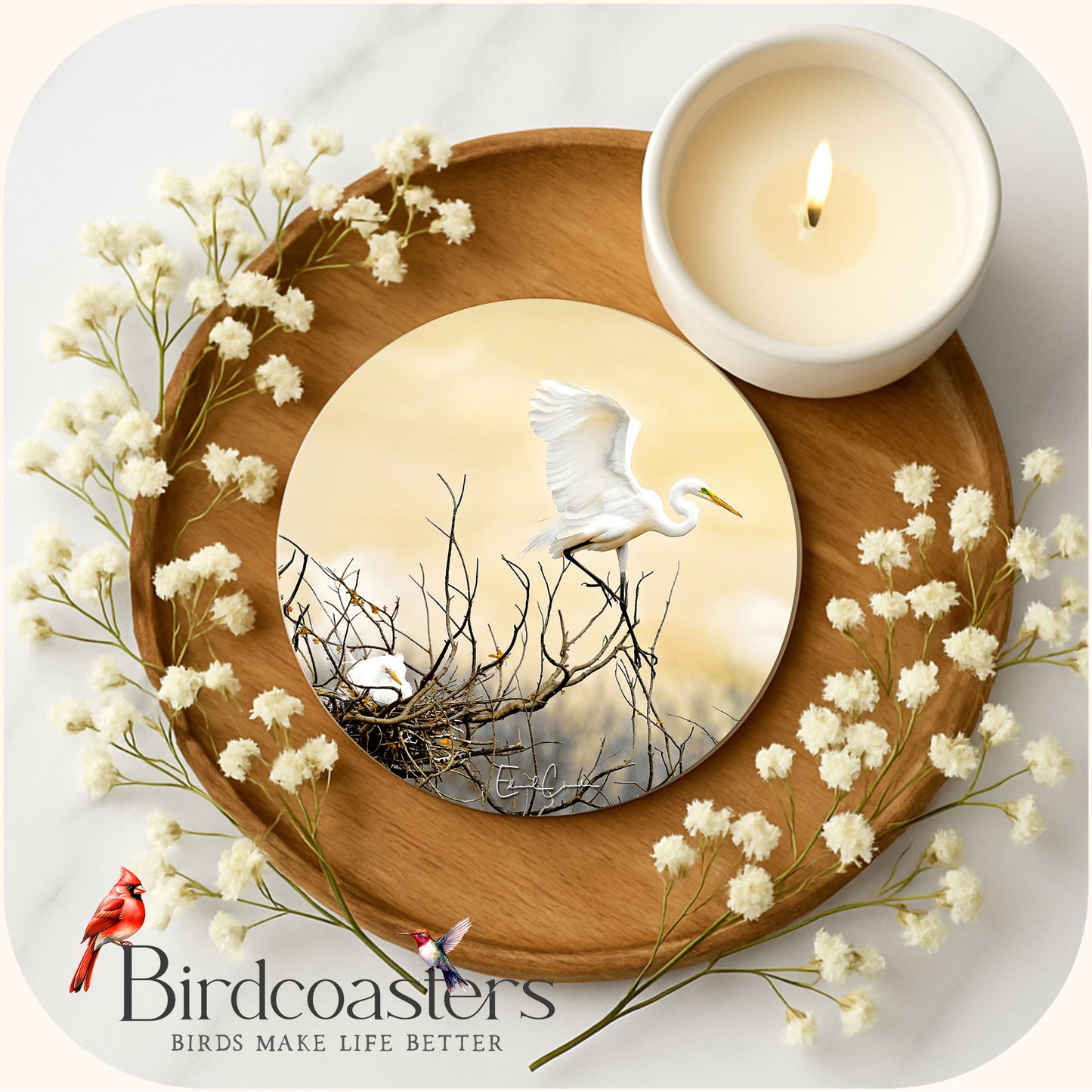 White Egret - Winter Watch