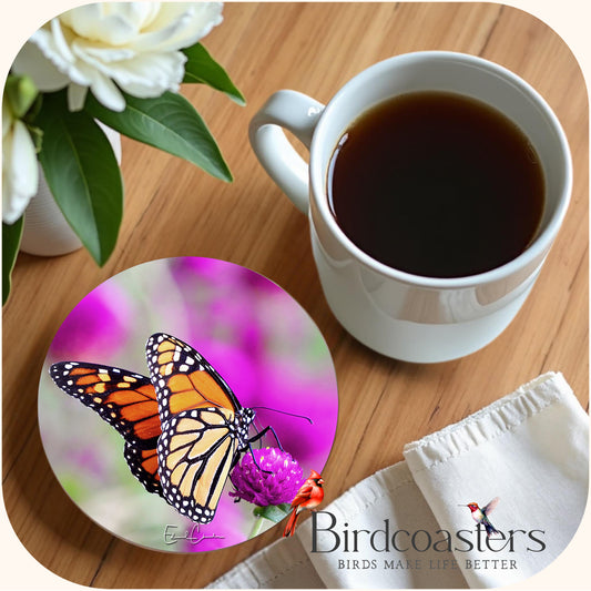 Monarch Butterfly - Garden Grace