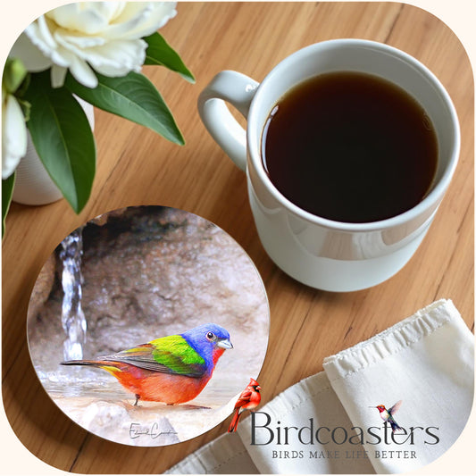 Painted Bunting - Spring Renewal