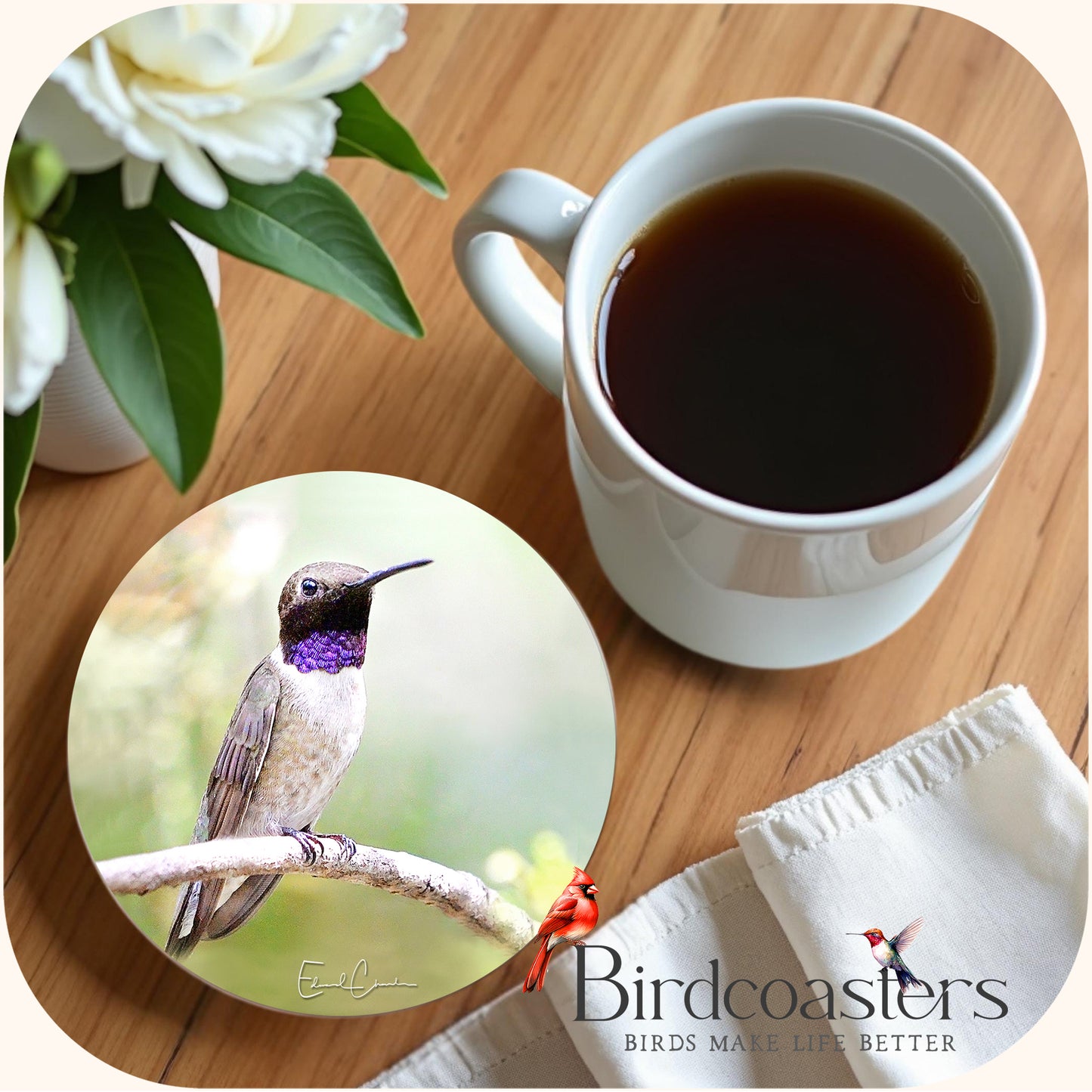 Black-Chinned Hummingbird - Quiet Pause