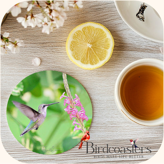 Ruby-Throated Hummingbird - Hovering Grace