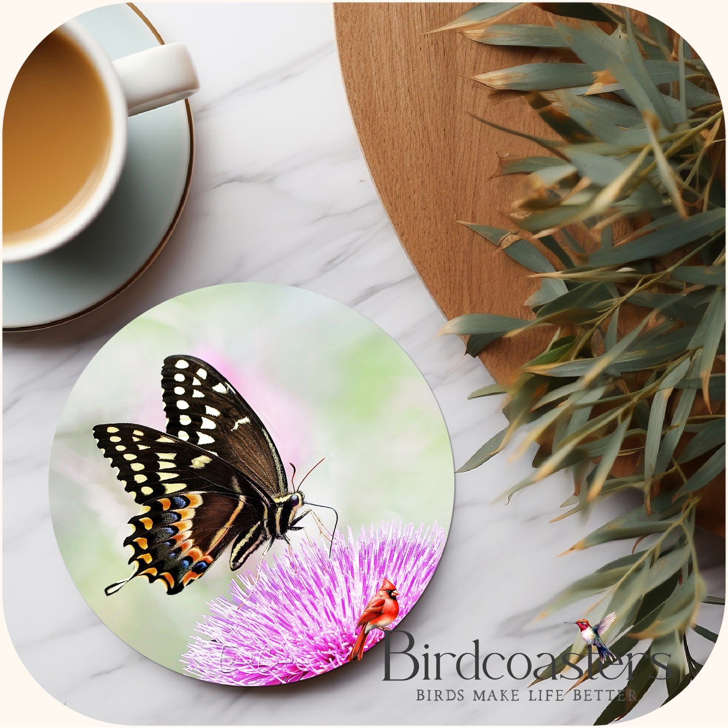 Palamedes Swallowtail Butterfly - Coastal Grace