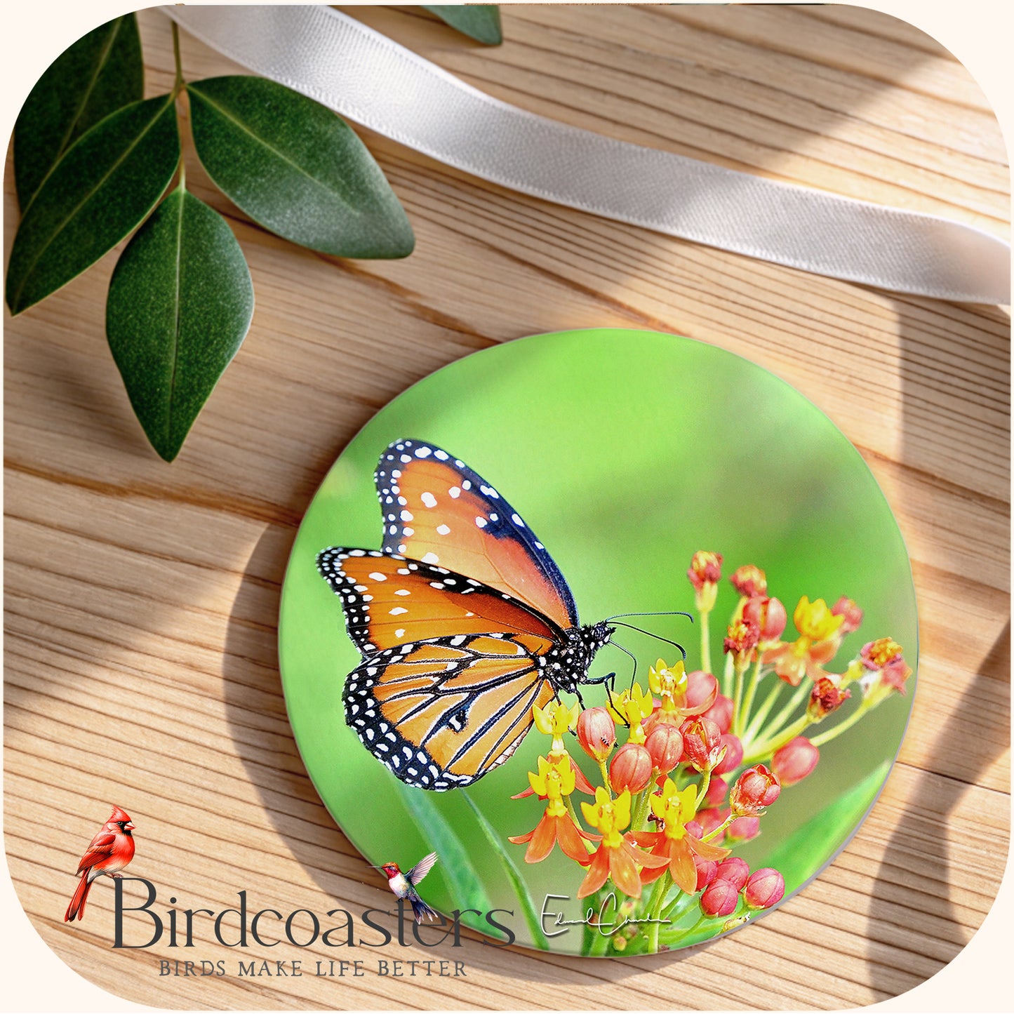 Queen Butterfly - Meadow Glow