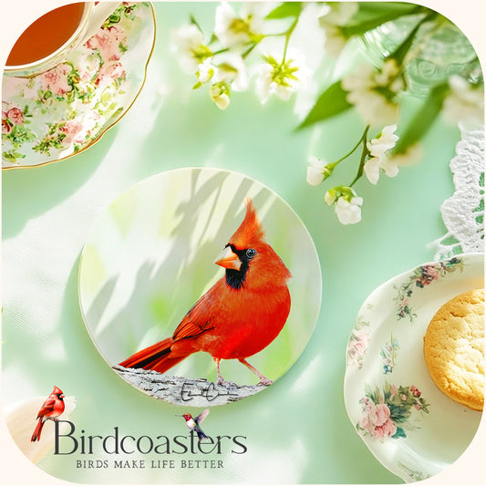 Cardinal - Forest Quiet