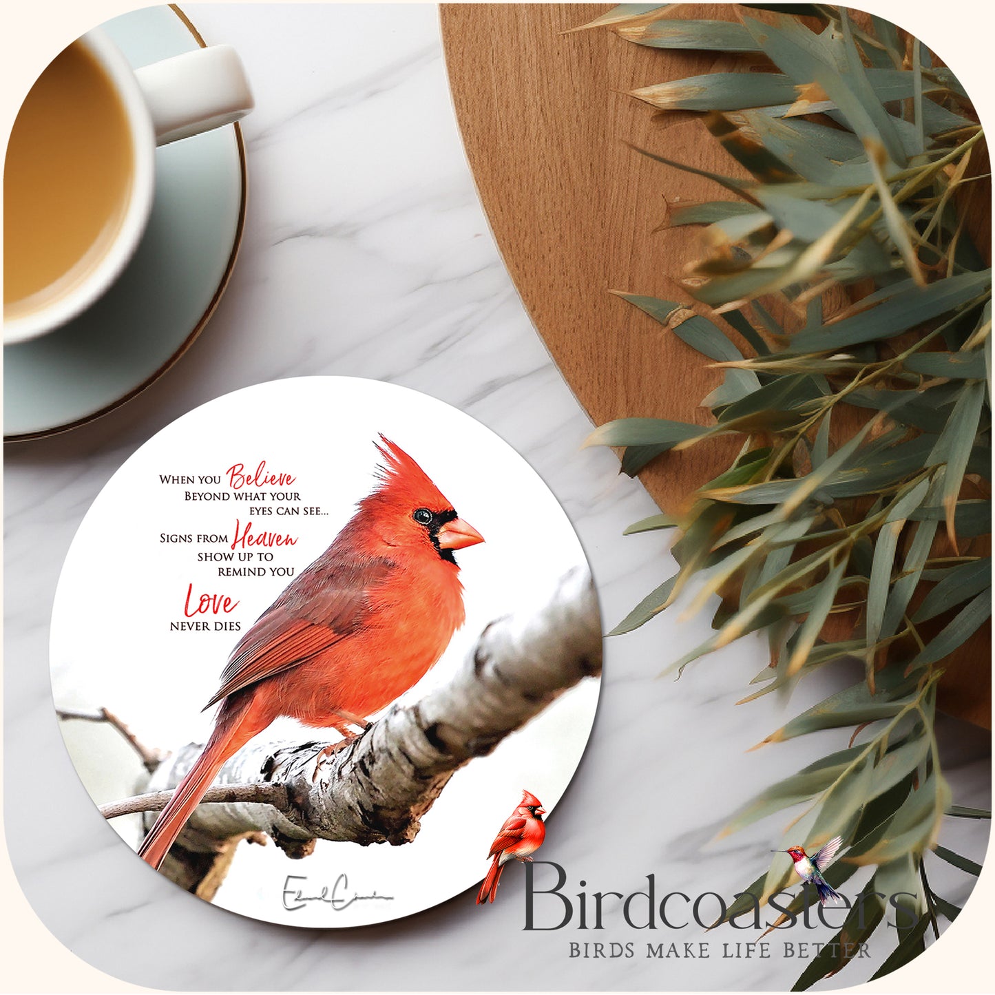 Cardinal with Poem - When You Believe