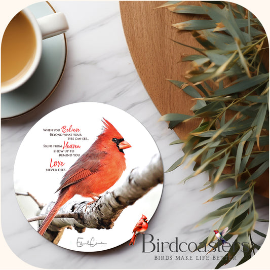 Cardinal with Poem - When You Believe