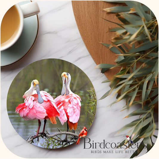 Roseate Spoonbills - Marshland Companions