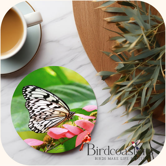 Rice Paper Butterfly - Garden Grace