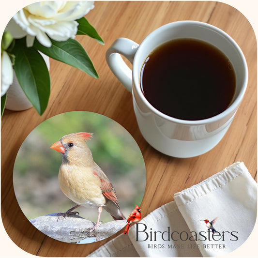 Lady Cardinal - Woodland Grace