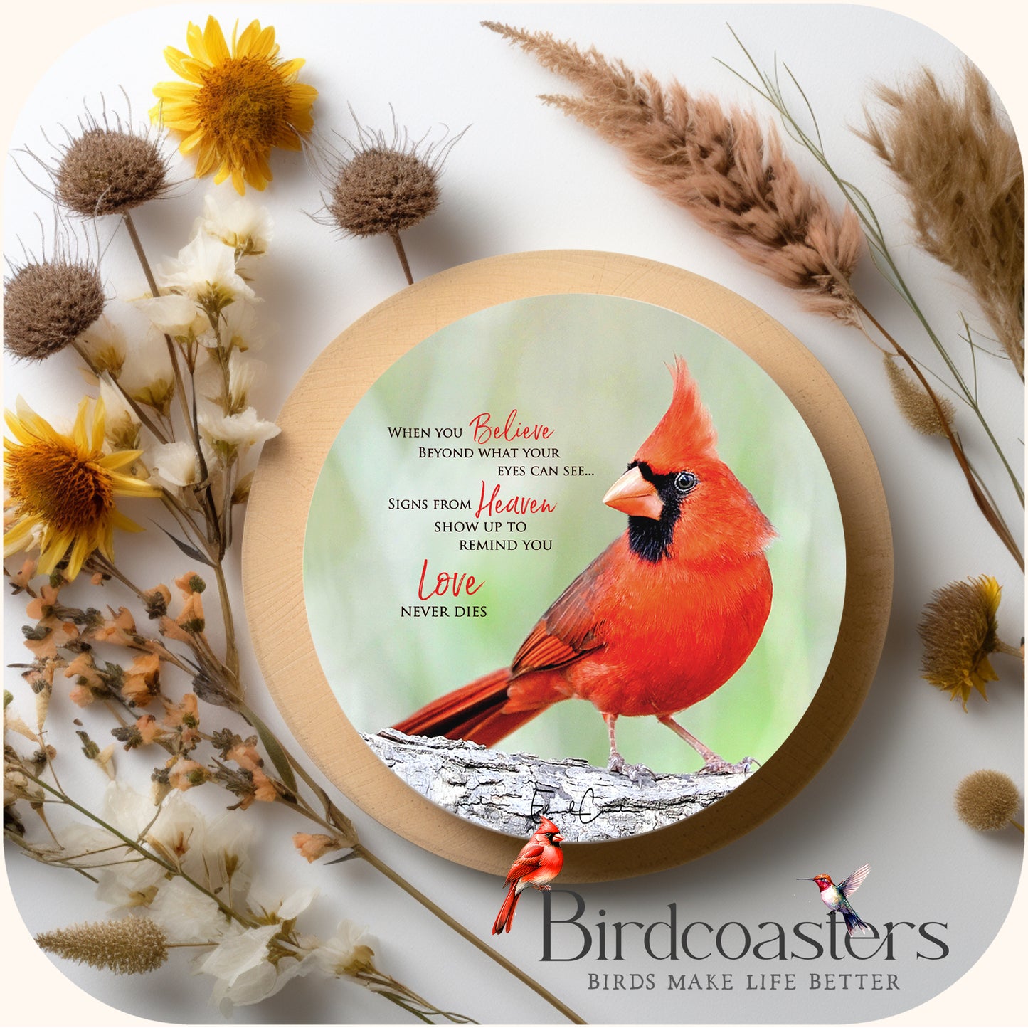 Cardinal with Poem - When You Believe