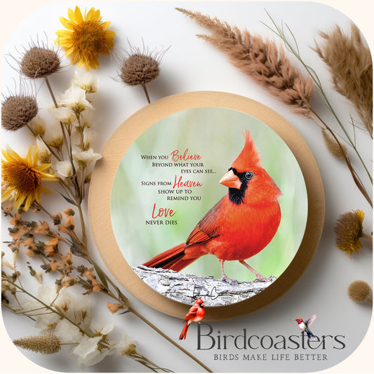 Cardinal with Poem - When You Believe