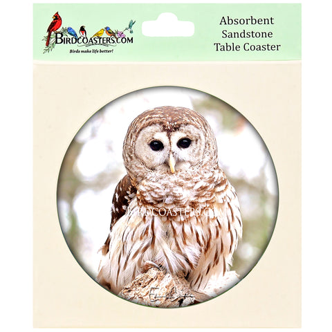 Barred Owl