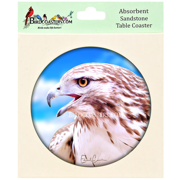 Ferruginous Hawk