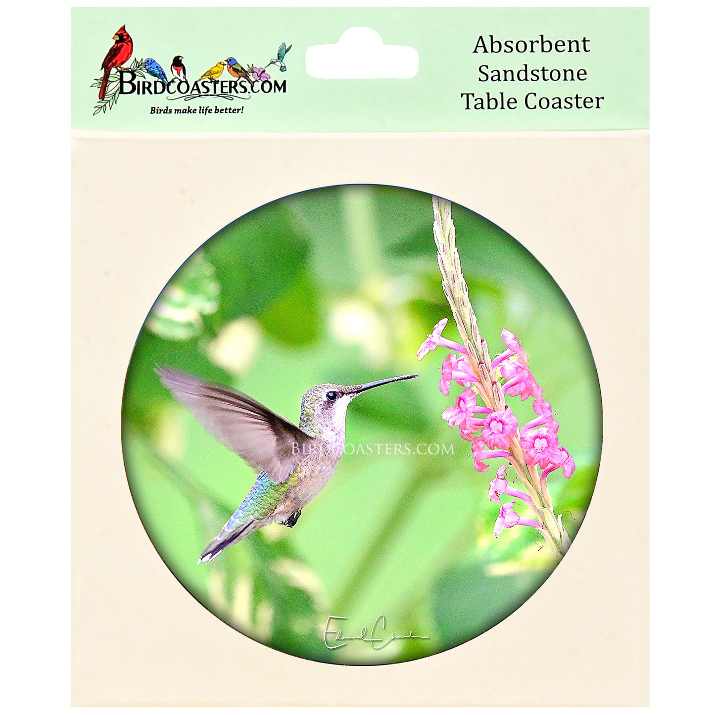 Hummingbird (Ruby-Throat)