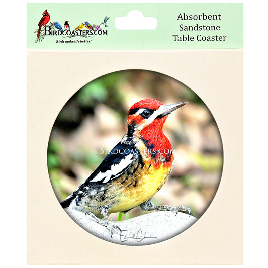 Red-Knaped/Red-Breasted Sapsucker Hybrid