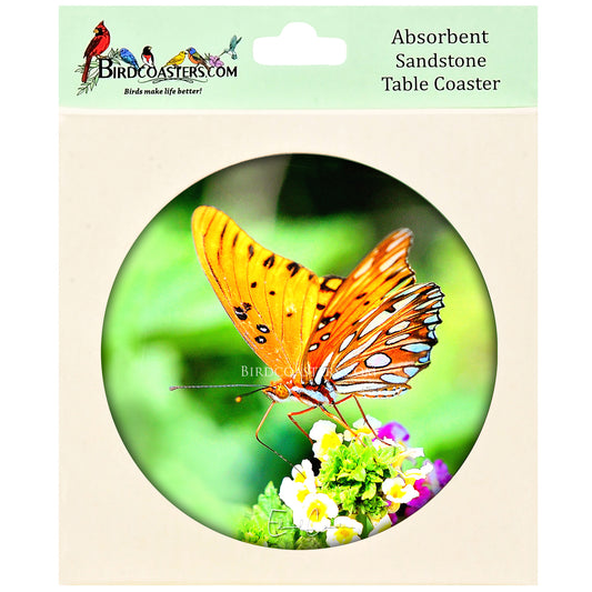 Gulf Fritillary Butterfly