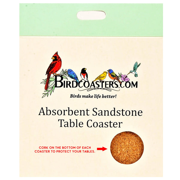 American Oyster Catcher