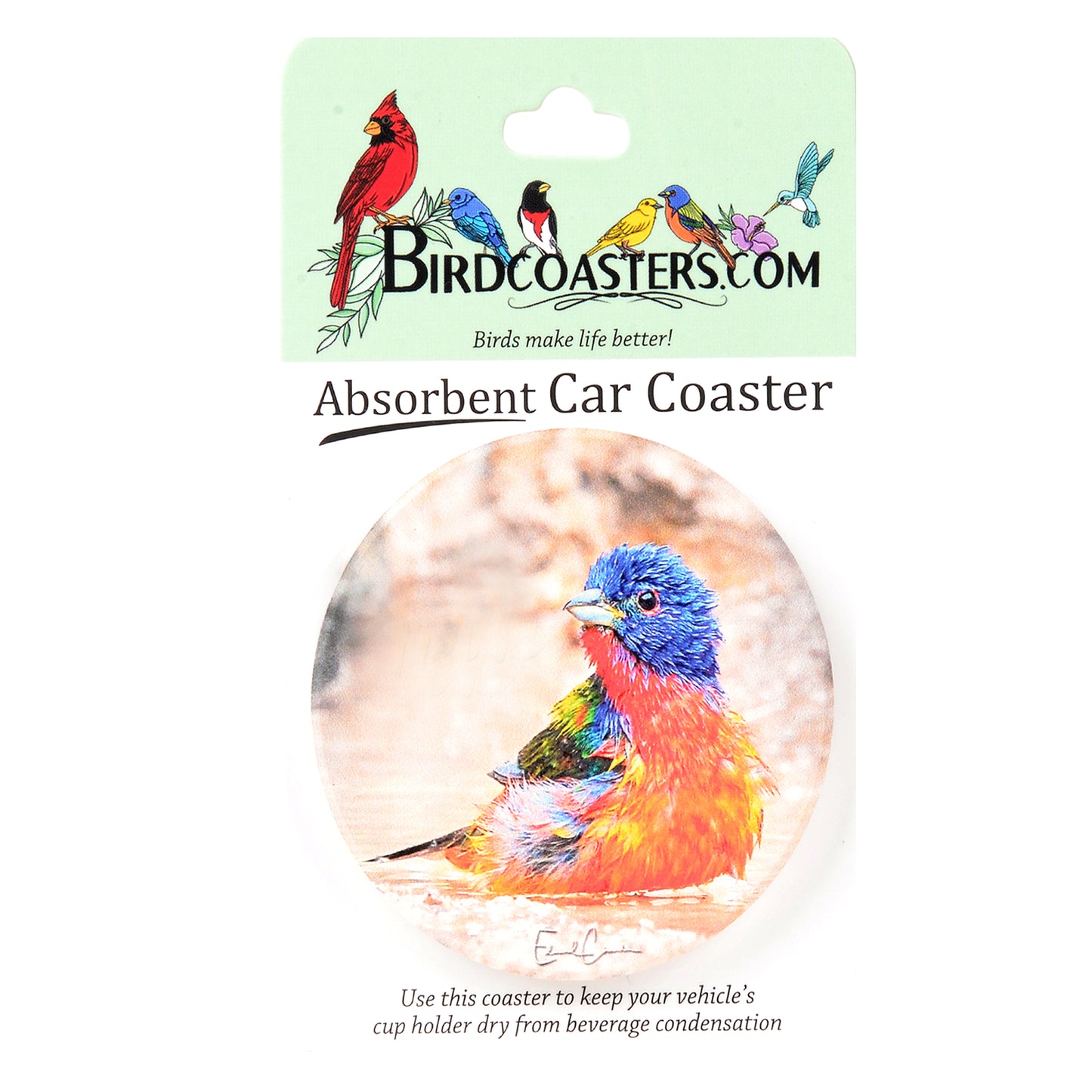 Painted Bunting (car coaster)